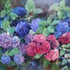 Hortensia 2006