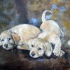Fauves