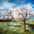 Landschappen
