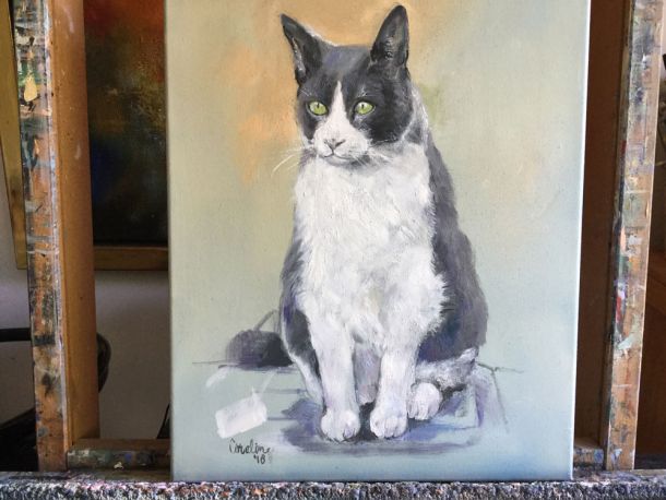 Portret kat